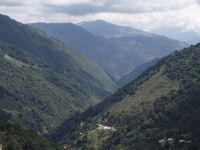 La Bodega